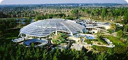 Market Dome - activities, restaurants, shopping at the Center Parcs family resorts in Europe