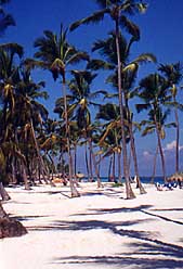 The beach at the Allegro Bavaro Resort