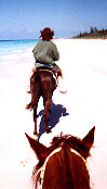 Horse-riding on Varadero beach