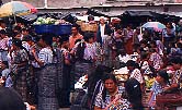 Market scene