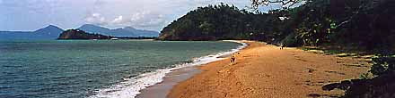 Beach north of Cairns